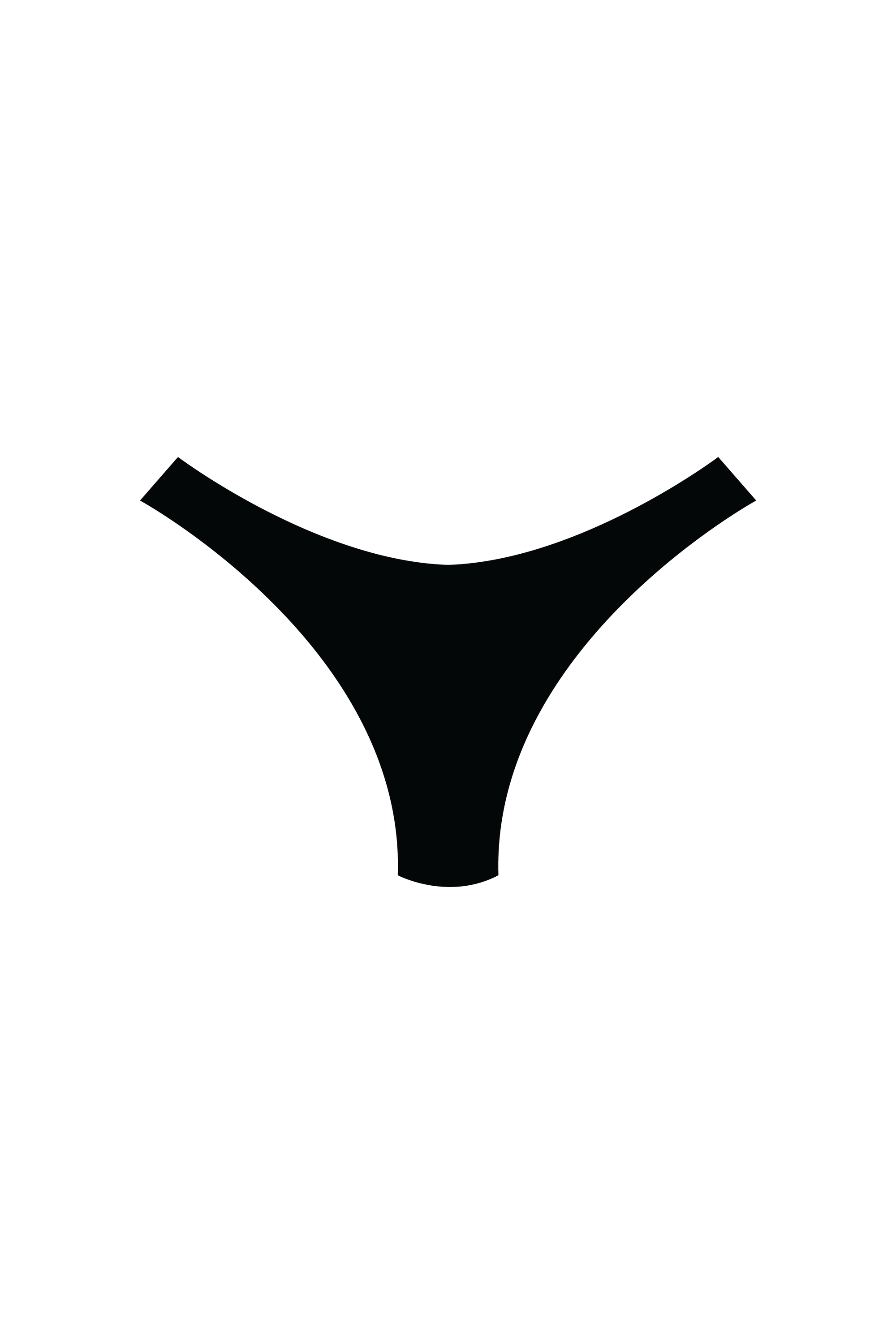 Black High-Leg Bikini Bottoms