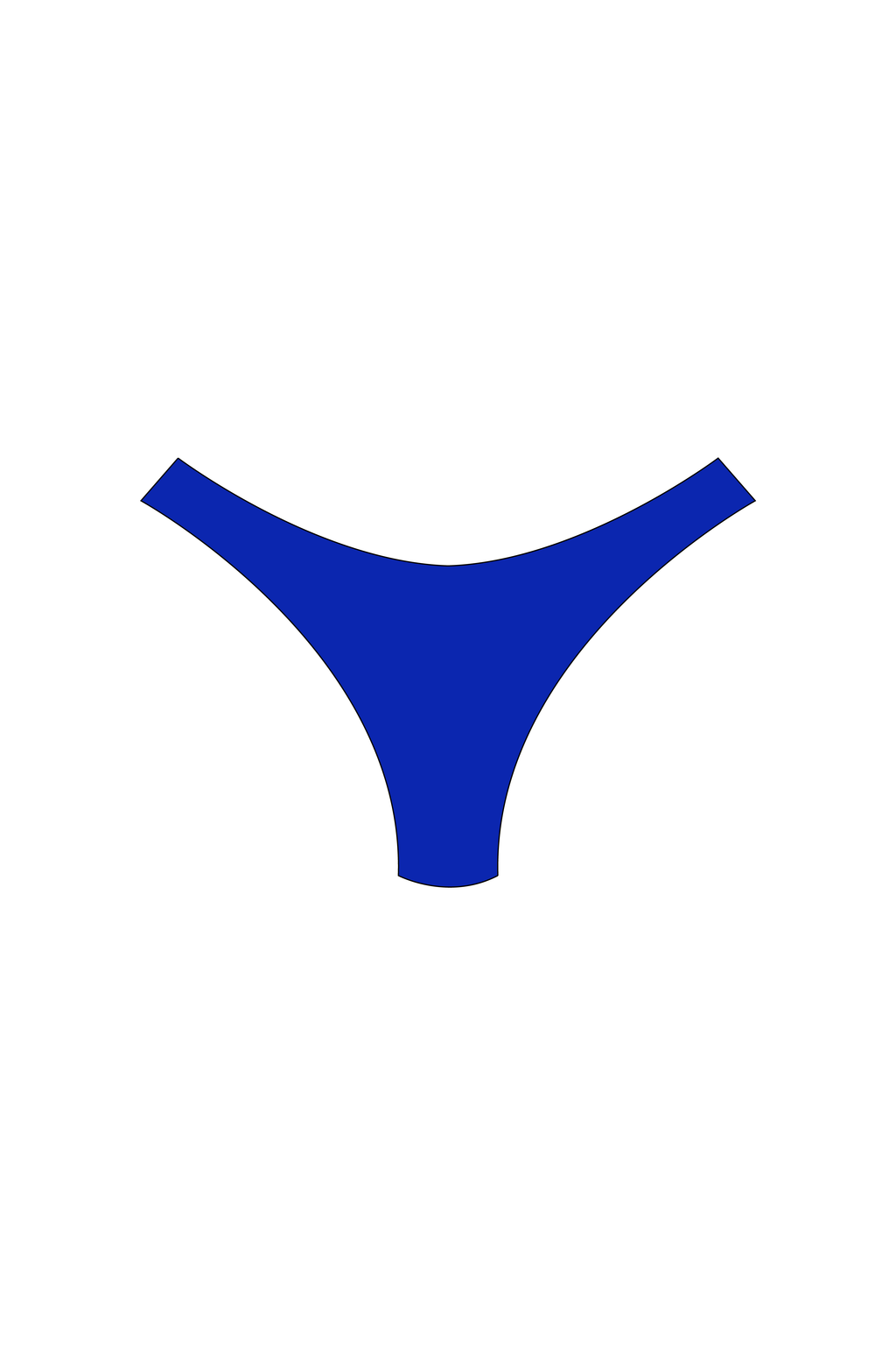 Royal Blue High-Leg Bikini Bottoms