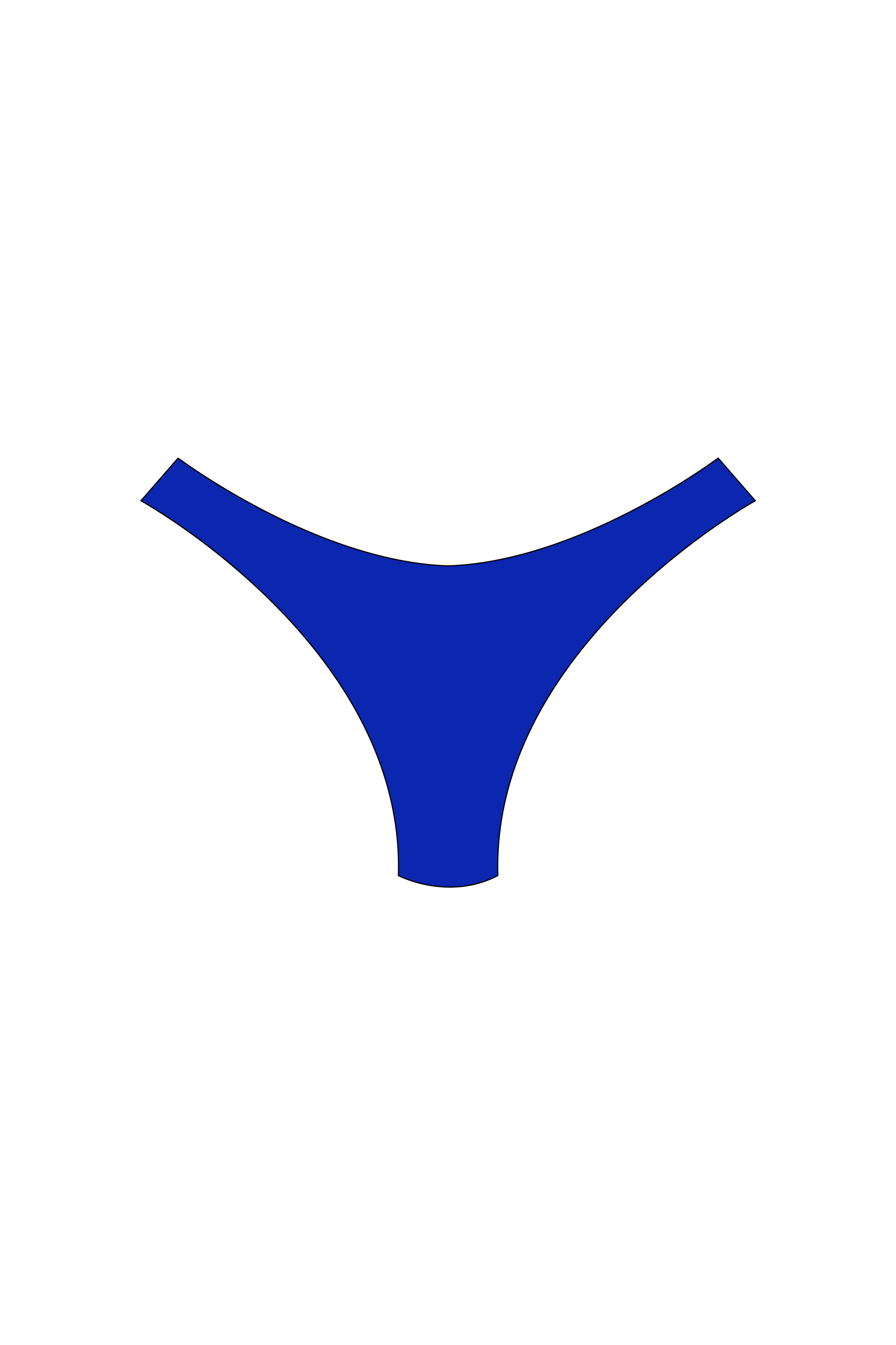 Royal Blue High-Leg Bikini Bottoms