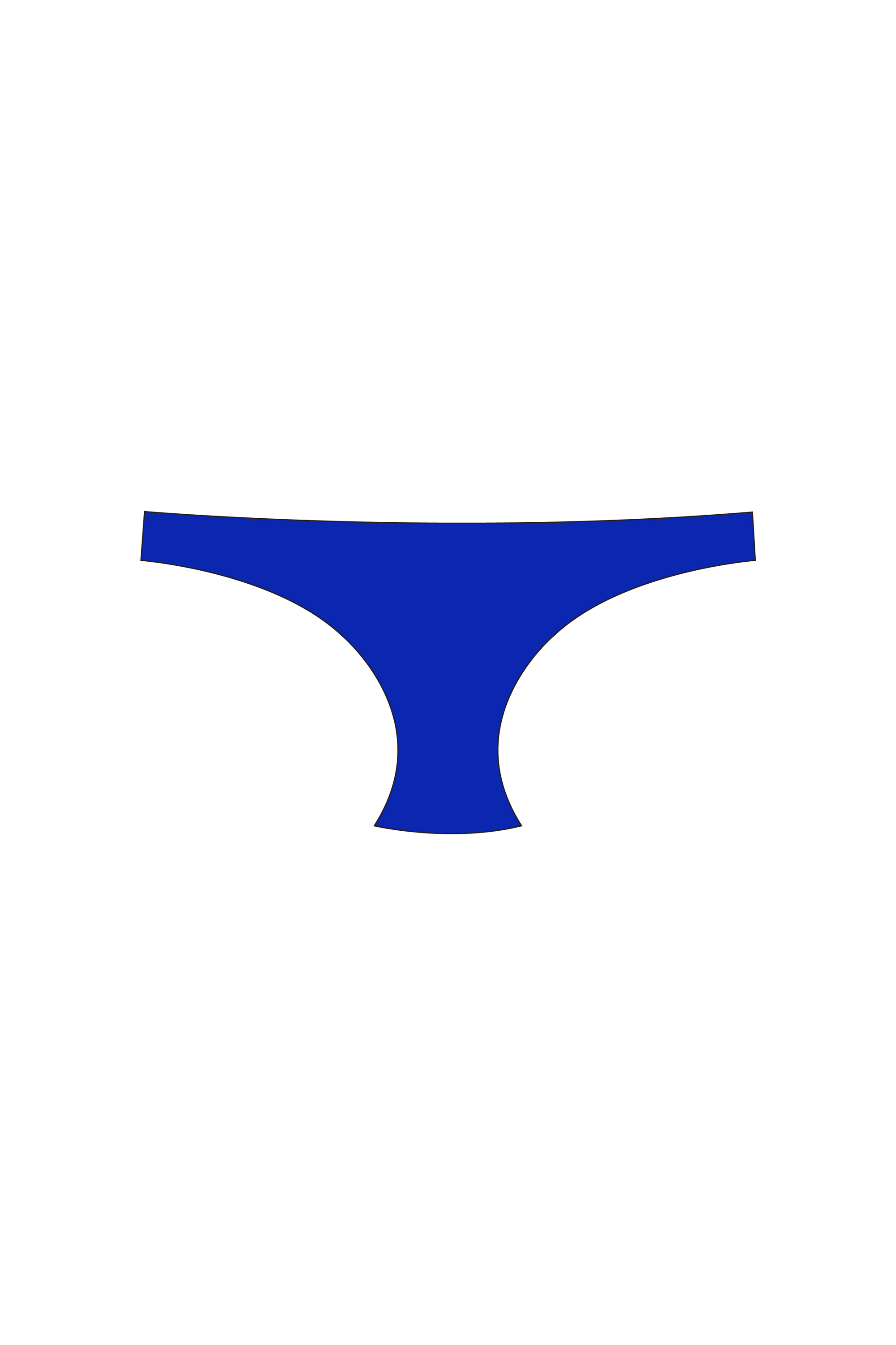 Royal Blue Tanga Bikini Bottom