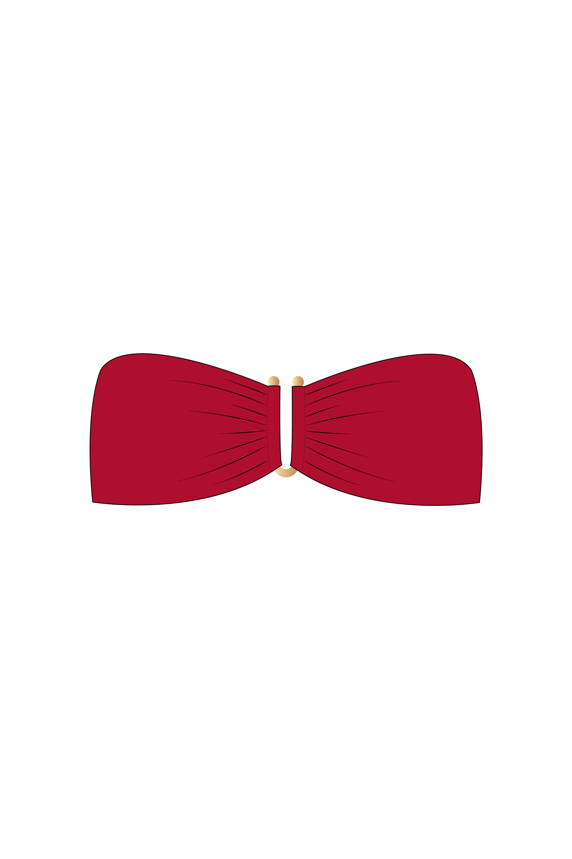 Maroon Tube Bikini Top