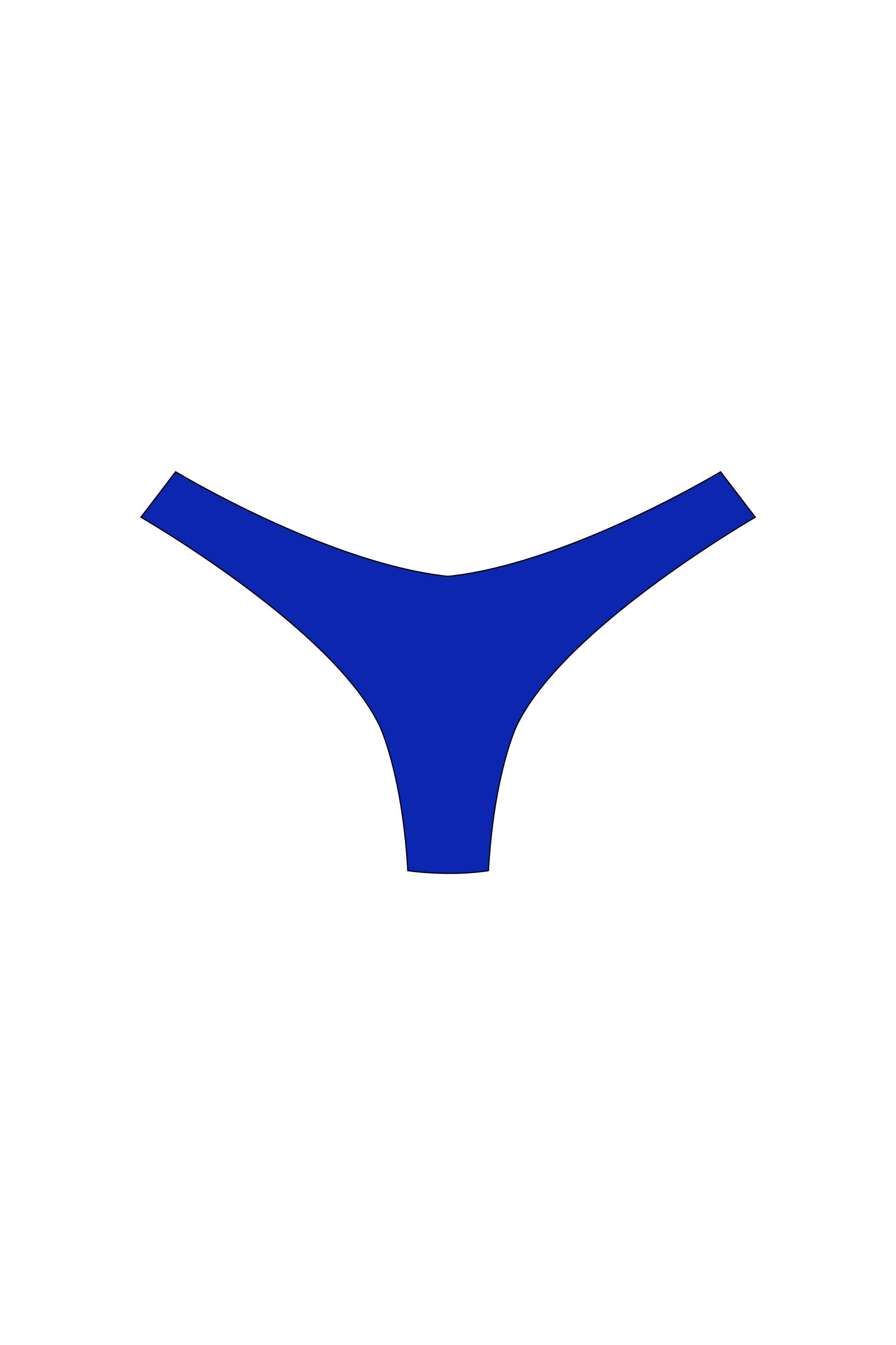 Royal Blue Brazilian Bikini Bottoms