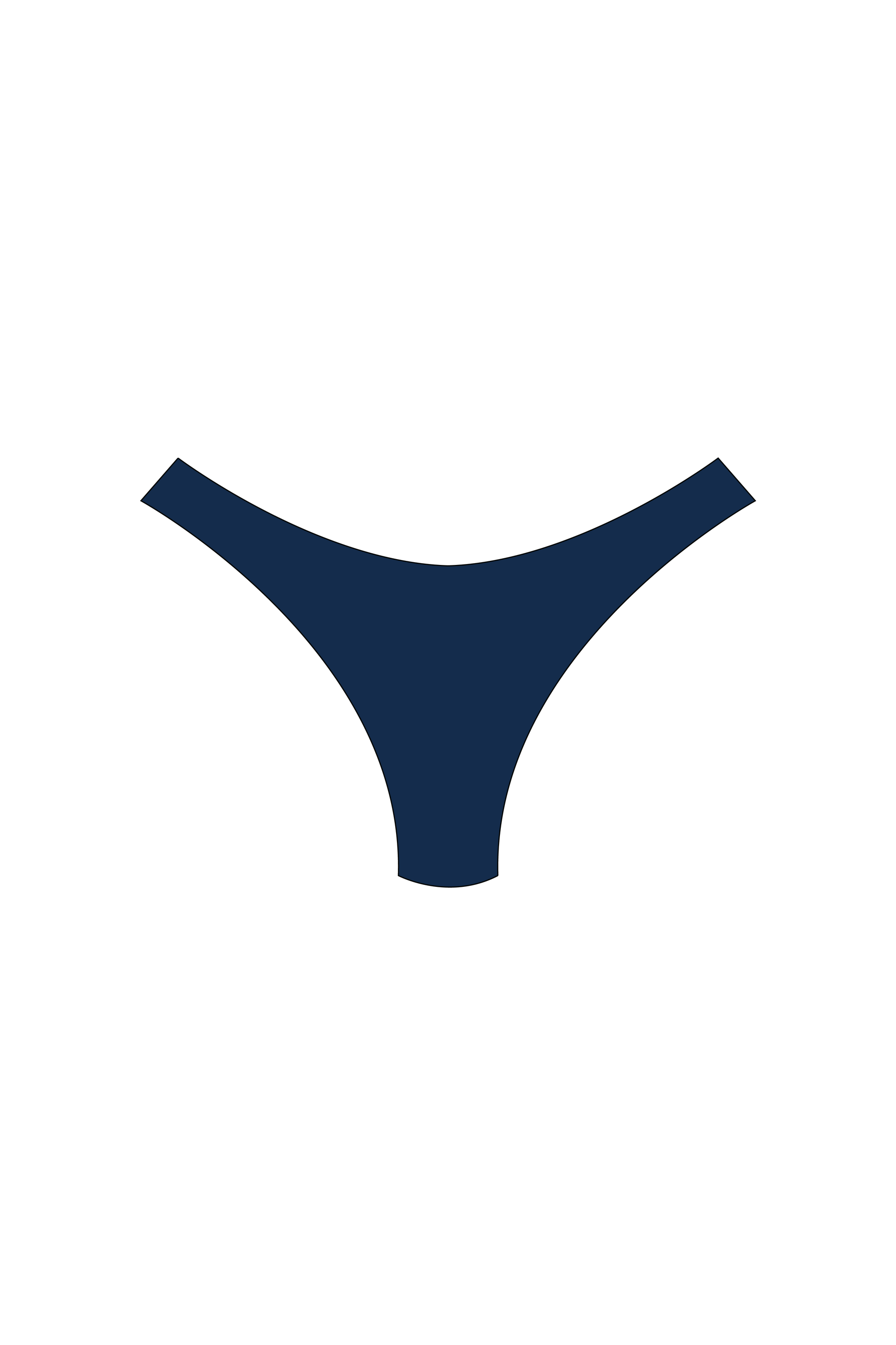 Midnight Blue High-Leg Bikini Bottoms